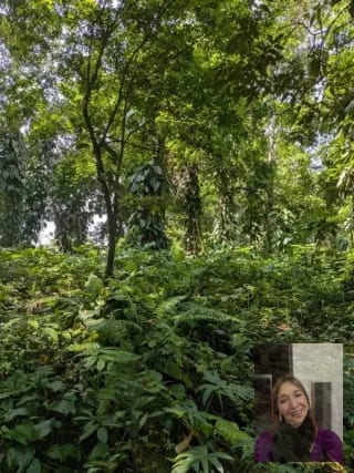 2 terrenos rústicos Aldea Buena Vista, Miramar, Livingston — Terreno en Venta en Livingston, Izabal — miniatura 8 de 10