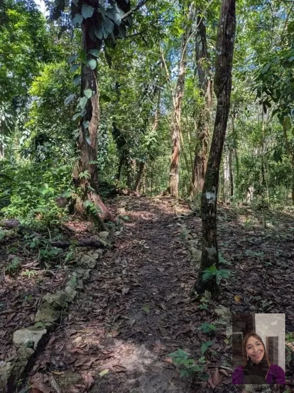 2 terrenos rústicos Aldea Buena Vista, Miramar, Livingston — Terreno en Venta en Livingston, Izabal — foto 7 de 10