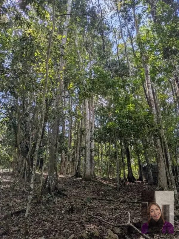 2 terrenos rústicos Aldea Buena Vista, Miramar, Livingston — Terreno en Venta en Livingston, Izabal — foto 5 de 10