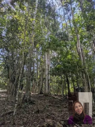 2 terrenos rústicos Aldea Buena Vista, Miramar, Livingston — Terreno en Venta en Livingston, Izabal — miniatura 5 de 10