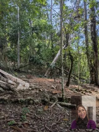 2 terrenos rústicos Aldea Buena Vista, Miramar, Livingston — Terreno en Venta en Livingston, Izabal — miniatura 3 de 10
