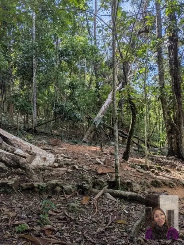 2 terrenos rústicos Aldea Buena Vista, Miramar, Livingston — Terreno en Venta en Livingston, Izabal — foto 3 de 10