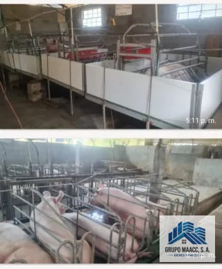 VENTA GRANJA PORCINA EN FUNCIONAMIENTO — Finca en Venta en Chimaltenango, Chimaltenango — miniatura 1 de 9