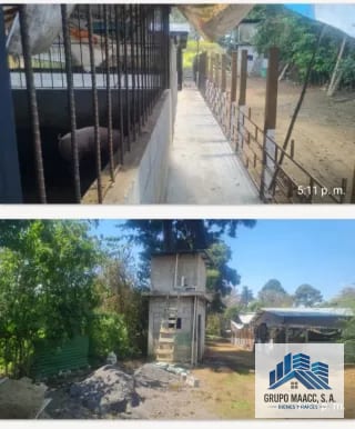 VENTA GRANJA PORCINA EN FUNCIONAMIENTO — Finca en Venta en Chimaltenango, Chimaltenango — miniatura 6 de 9