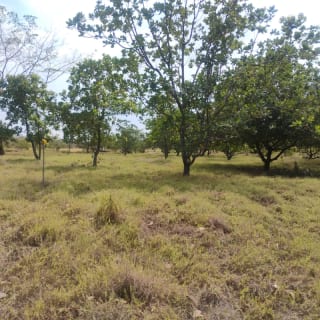 RE VENDO 2 TERRENOS EN PARQUE INDUSTRIAL, ESCUINTLA — Terreno en Venta en Escuintla, Escuintla — miniatura 4 de 4