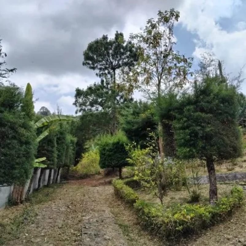 CASA EN VENTA EN ALDEA CHIYUC – CRISTOBAL – ALTA VERAPAZ — Terreno en Venta en San Cristóbal Verapaz, Alta Verapaz — foto 4 de 17