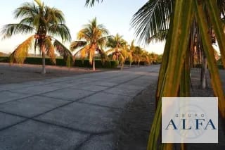 TERRENO 2,000 VARAS EN VENTA PALMERAS DE MONTERRICO — Terreno en Venta en Monterrico, Santa Rosa — miniatura 4 de 8