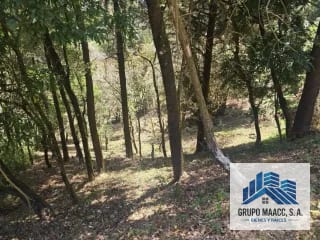 Ganga Venta Terreno Encinal Tronco 8 — Terreno en Venta en Zona 7 Mixco, Guatemala, Ciudad — miniatura 7 de 7
