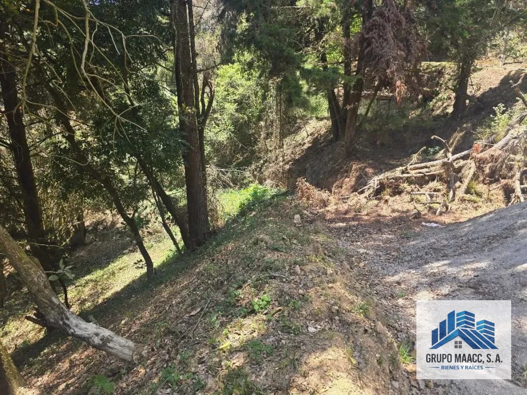Ganga Venta Terreno Encinal Tronco 8 — Terreno en Venta en Zona 7 Mixco, Guatemala, Ciudad — foto 3 de 7