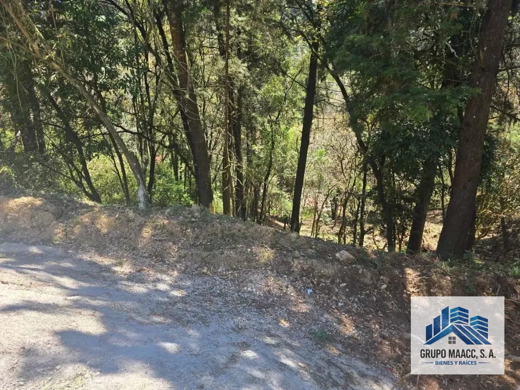 Ganga Venta Terreno Encinal Tronco 8 — Terreno en Venta en Zona 7 Mixco, Guatemala, Ciudad — foto 5 de 7
