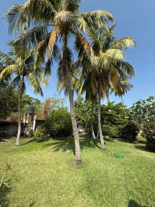 PROPIEDAD CON PISCINA Y CASA DE DESCANSO EN VENTA EN TORREMOLINOS KM. 79 AUTOPISTA A PUERTO QUETZAL ESCUINTLA — Terreno en Venta en Escuintla, Escuintla — miniatura 16 de 17