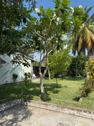 PROPIEDAD CON PISCINA Y CASA DE DESCANSO EN VENTA EN TORREMOLINOS KM. 79 AUTOPISTA A PUERTO QUETZAL ESCUINTLA — Terreno en Venta en Escuintla, Escuintla — miniatura 10 de 17