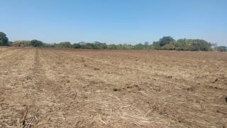 TERRENO 43 MANZANAS ESCUINTLA — Finca en Venta en La Democracia, Escuintla — miniatura 4 de 5
