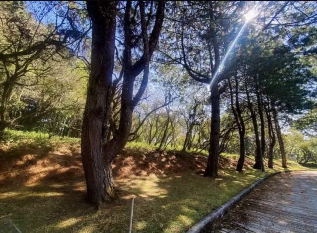 Venta de 2 terrenos en Premier Campestre — Terreno en Venta en Carretera a El Salvador, Guatemala, Ciudad — foto 1 de 2