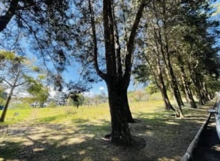 Venta de 2 terrenos en Premier Campestre — Terreno en Venta en Carretera a El Salvador, Guatemala, Ciudad — miniatura 2 de 2