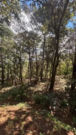 Venta de terreno en San Lucas Aldea El Choacorral  8,290 Vr2. — Terreno en Venta en San Lucas Sacatepéquez, Sacatepéquez — miniatura 3 de 4