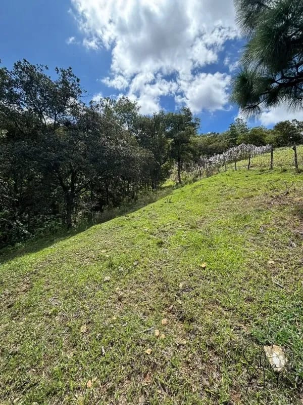 Terreno en venta en Huehuetenango salida a carretera — Terreno en Venta en Huehuetenango, Huehuetenango — foto 7 de 17