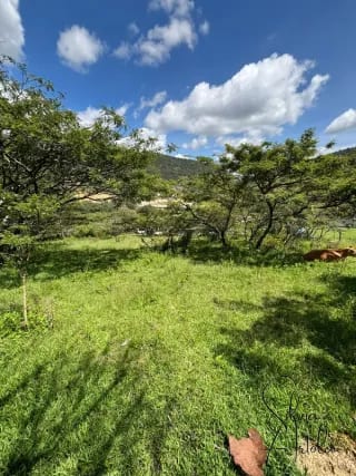 Terreno en venta en Huehuetenango salida a carretera — Terreno en Venta en Huehuetenango, Huehuetenango — miniatura 12 de 17