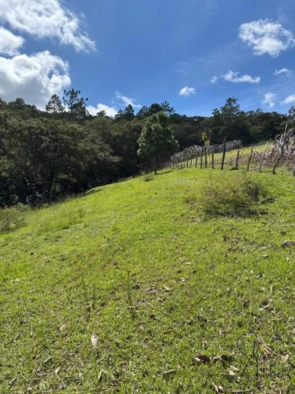 Terreno en venta en Huehuetenango salida a carretera — Terreno en Venta en Huehuetenango, Huehuetenango — foto 15 de 17