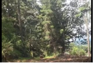 VENTA DE TERRENO LOTIFICADO O PARA SIEMBRA — Terreno en Venta en Santiago Sacatepéquez, Sacatepéquez — miniatura 1 de 2