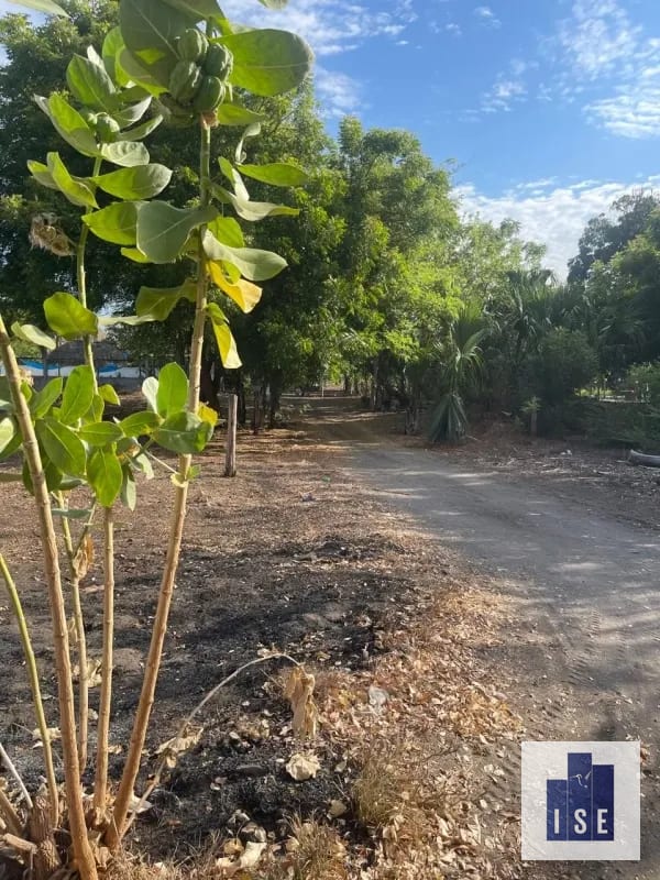 Terreno en venta El Cebollito, Monterrico — Terreno en Venta en Monterrico, Santa Rosa — foto 1 de 4