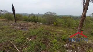 TERRENO RIO DULCE — Terreno en Venta en Livingston, Izabal — miniatura 7 de 7