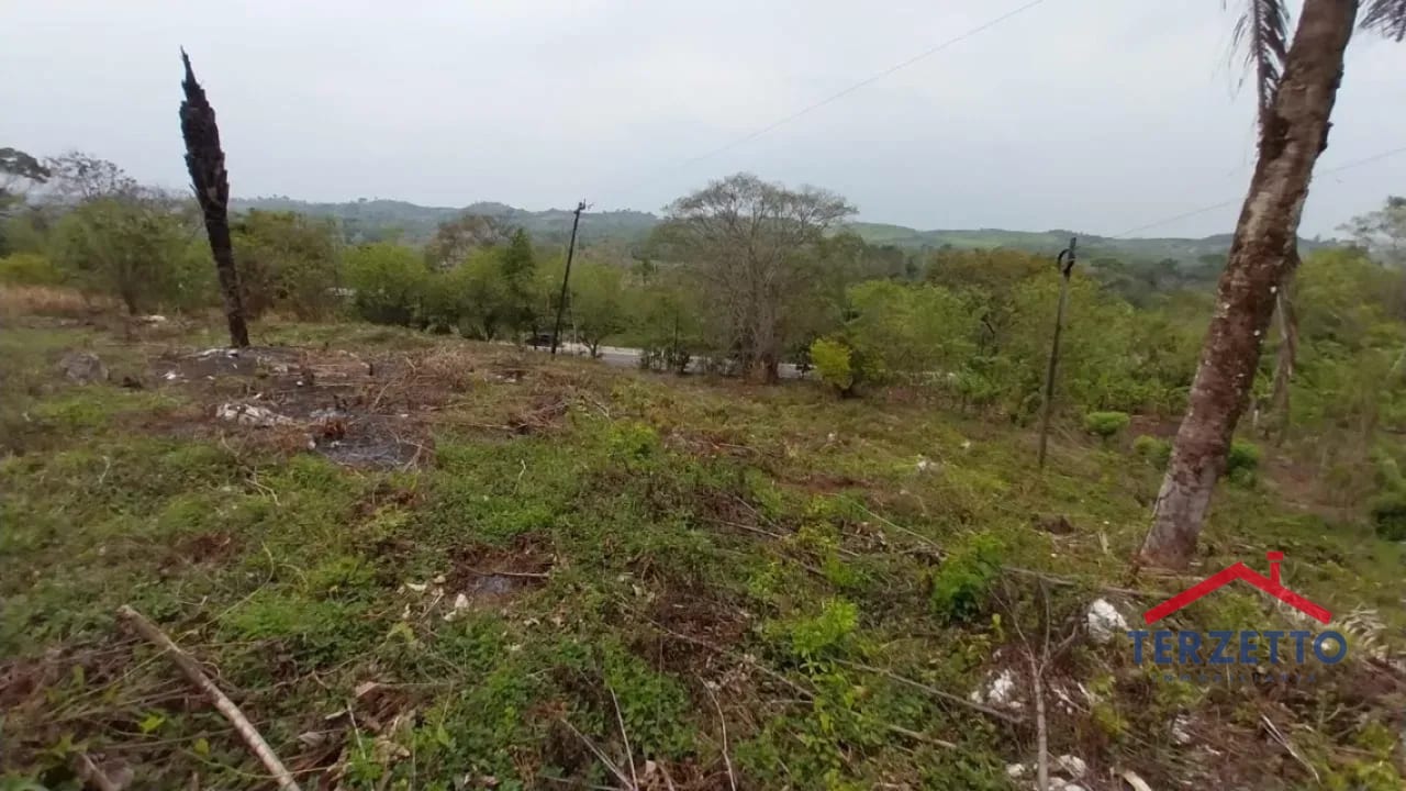 TERRENO RIO DULCE — Terreno en Venta en Livingston, Izabal — foto 7 de 7