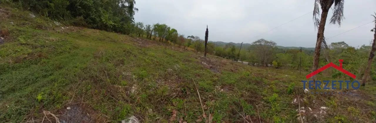 TERRENO RIO DULCE — Terreno en Venta en Livingston, Izabal — foto 4 de 7
