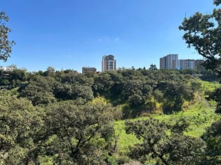 VENDO TERRENO EN ZONA 10, OAKLAND 1 — Terreno en Venta en Oakland I, Zona 10, Guatemala, Ciudad — miniatura 4 de 5