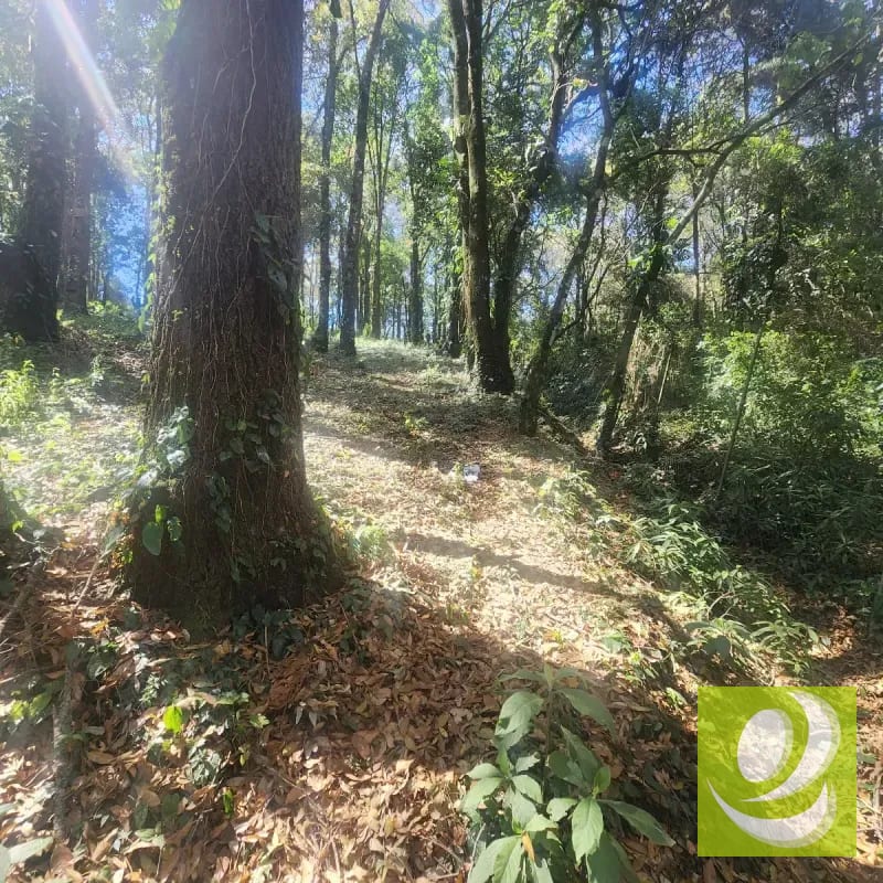 Terreno en Venta Bosque Vivo — Terreno en Venta en Zona 1 Mixco, Guatemala, Ciudad — foto 3 de 6