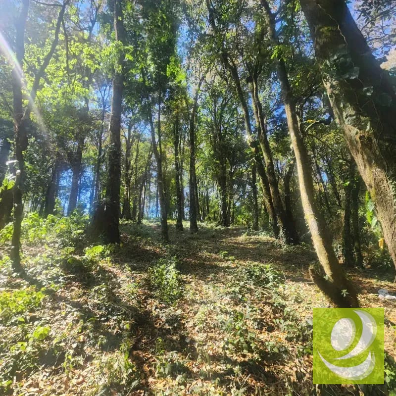 Terreno en Venta Bosque Vivo — Terreno en Venta en Zona 1 Mixco, Guatemala, Ciudad — foto 1 de 6