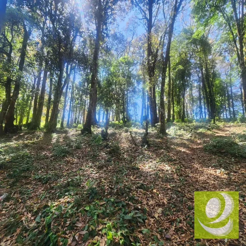 Terreno en Venta Bosque Vivo — Terreno en Venta en Zona 1 Mixco, Guatemala, Ciudad — foto 2 de 6