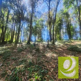 Terreno en Venta Bosque Vivo — Terreno en Venta en Zona 1 Mixco, Guatemala, Ciudad — miniatura 2 de 6