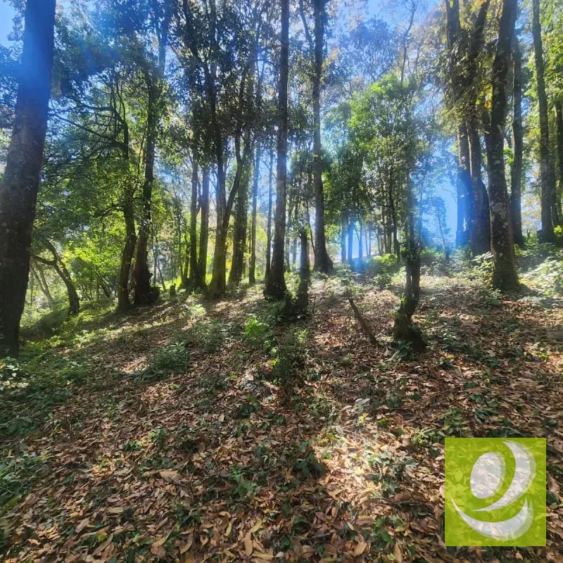 Terreno en Venta Bosque Vivo — Terreno en Venta en Zona 1 Mixco, Guatemala, Ciudad — foto 4 de 6