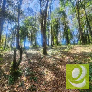 Terreno en Venta Bosque Vivo — Terreno en Venta en Zona 1 Mixco, Guatemala, Ciudad — miniatura 6 de 6