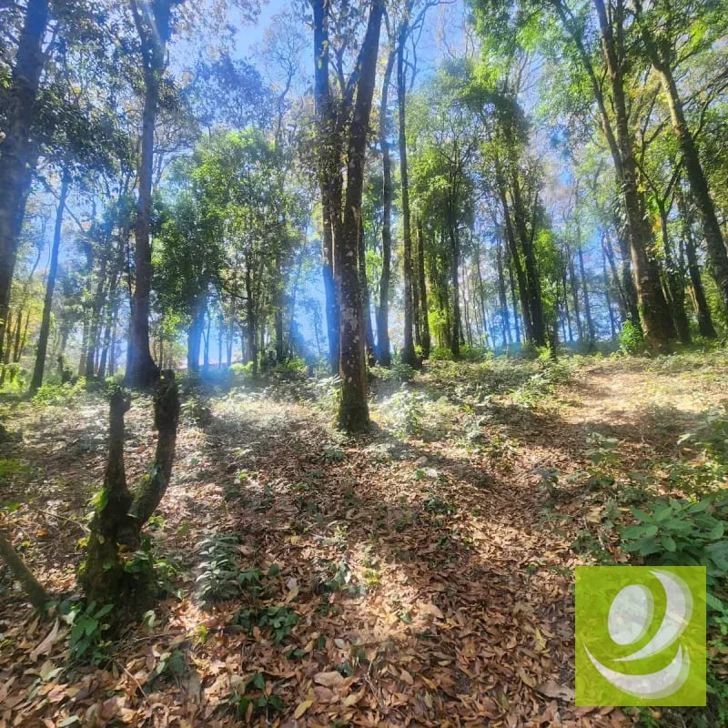 Terreno en Venta Bosque Vivo — Terreno en Venta en Zona 1 Mixco, Guatemala, Ciudad — foto 6 de 6