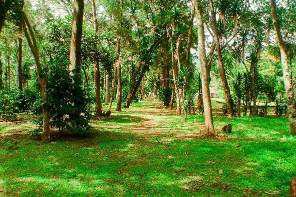Terreno en Antigua Guatemala — Terreno en Venta en Antigua, Sacatepéquez — foto 4 de 7