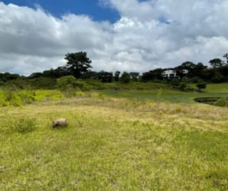 VENDO TERRENO EN EL PULTE FRENTE A LAGUNA PRINCIPAL ZONA 16 PV — Terreno en Venta en El Pulté, Zona 16, Guatemala, Ciudad — miniatura 3 de 4