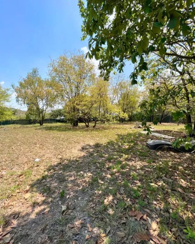TERRENO EN VENTA SAN CRISTOBAL, SECTOR A6 DENTRO DE GARITA — Terreno en Venta en Zona 8 Mixco, Guatemala, Ciudad — foto 7 de 9