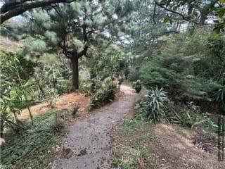 Km 29.5 sobre carretera a El Salvador Terreno en venta — Terreno en Venta en Carretera a El Salvador, Guatemala, Ciudad — miniatura 9 de 17