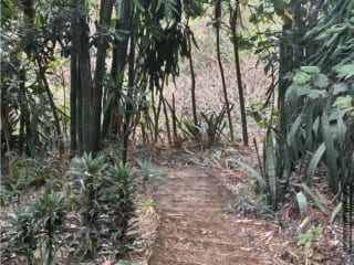 Km 29.5 sobre carretera a El Salvador Terreno en venta — Terreno en Venta en Carretera a El Salvador, Guatemala, Ciudad — miniatura 10 de 17