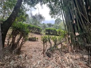 Km 29.5 sobre carretera a El Salvador Terreno en venta — Terreno en Venta en Carretera a El Salvador, Guatemala, Ciudad — miniatura 11 de 17