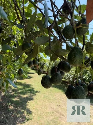 Venta Granja Santa Lucía Milpas Altas — Terreno en Venta en Santa Lucía Milpas Altas, Sacatepéquez — miniatura 9 de 10