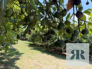 Venta Granja Santa Lucía Milpas Altas — Terreno en Venta en Santa Lucía Milpas Altas, Sacatepéquez — miniatura 8 de 10