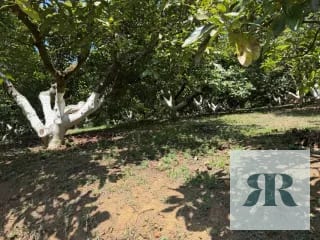 Venta Granja Santa Lucía Milpas Altas — Terreno en Venta en Santa Lucía Milpas Altas, Sacatepéquez — miniatura 5 de 10