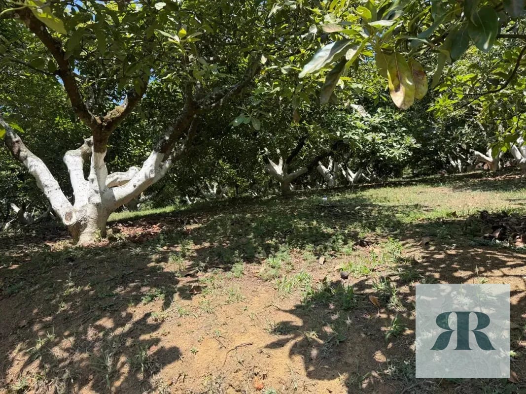 Venta Granja Santa Lucía Milpas Altas — Terreno en Venta en Santa Lucía Milpas Altas, Sacatepéquez — foto 5 de 10