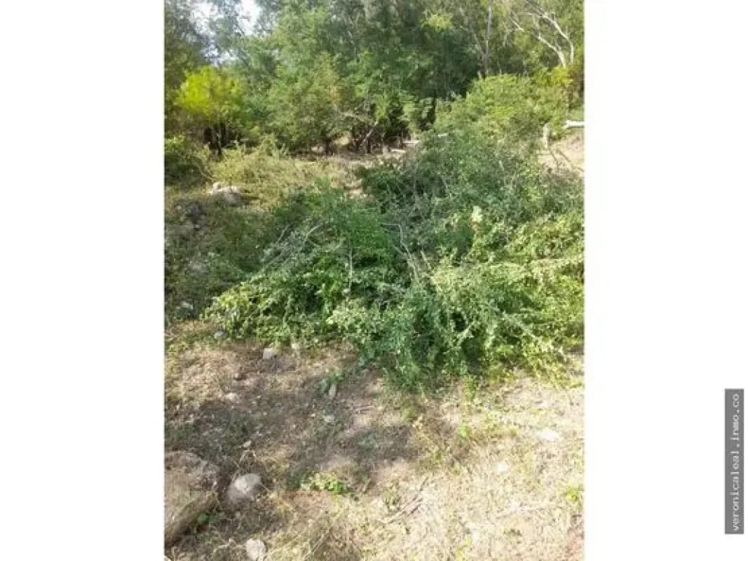Finca en venta terreno en Zacapa Río Hondo Jumuzna — Terreno en Venta en Rio Hondo, Zacapa — foto 6 de 6